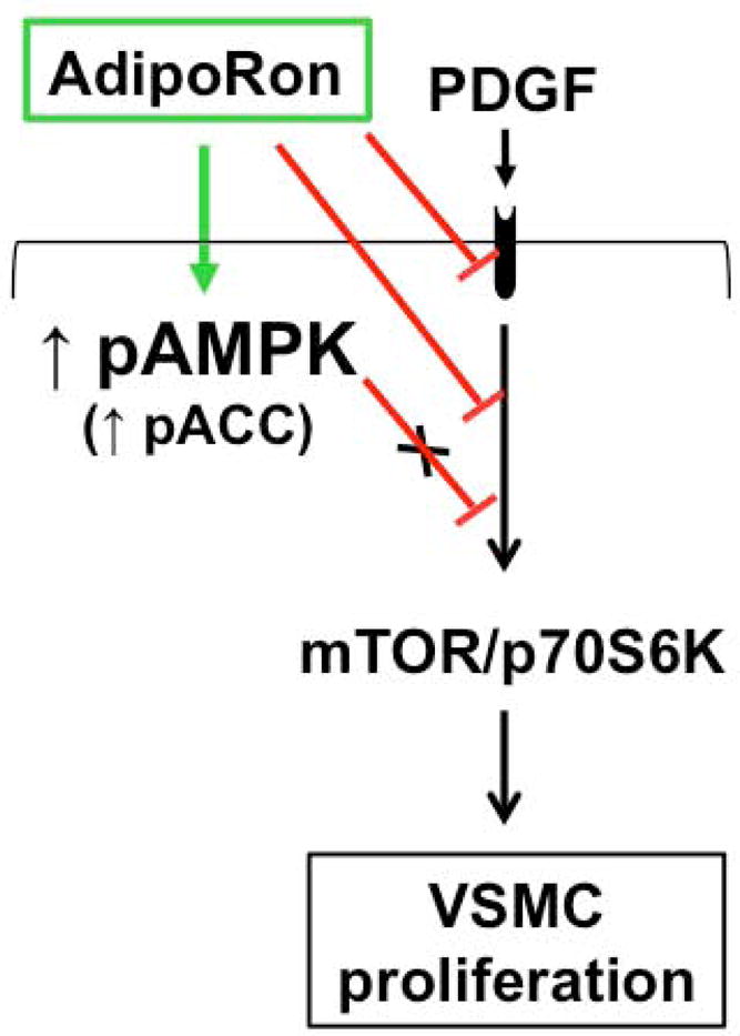 Fig. 12