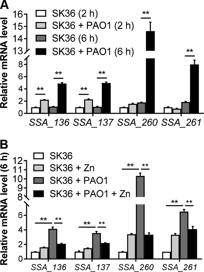 FIG 4