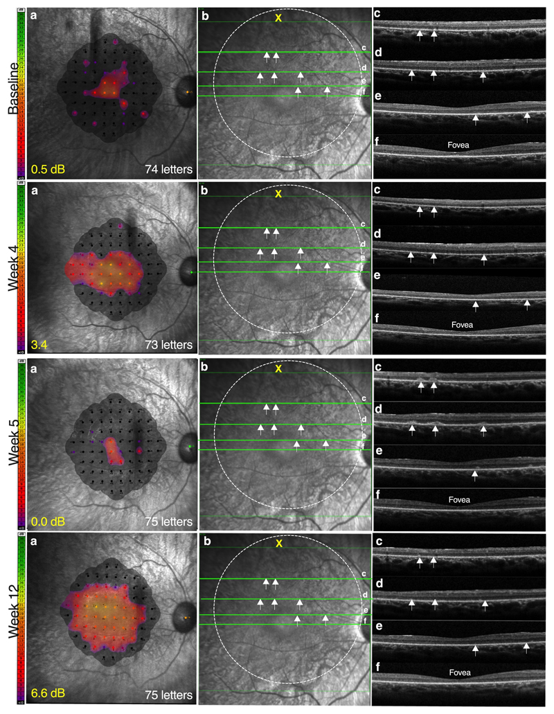 Fig. 2