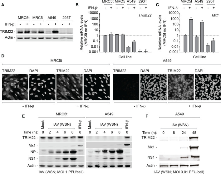 Figure 3