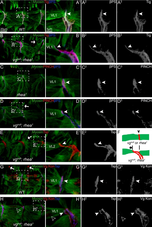 Figure 4.