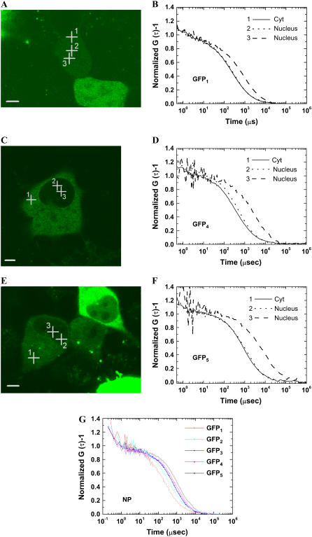 FIGURE 3