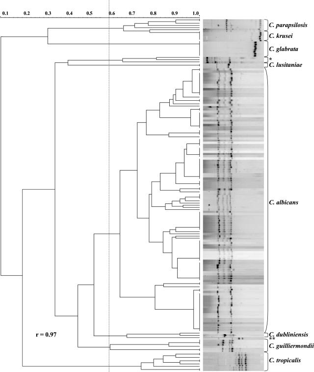 FIG. 4.