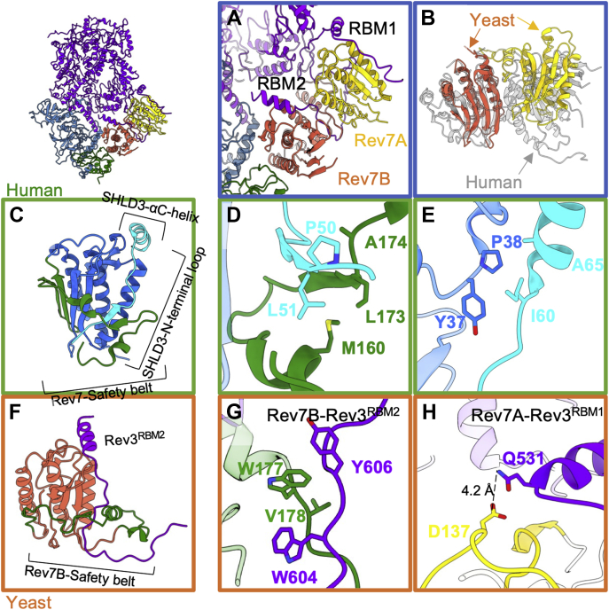 Figure 3