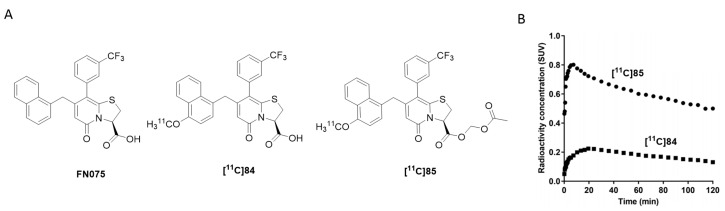 Figure 28