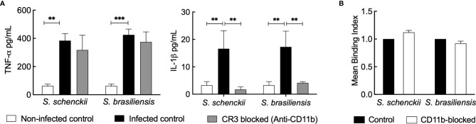 Figure 5