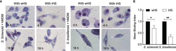 Figure 1