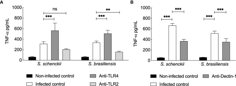 Figure 6