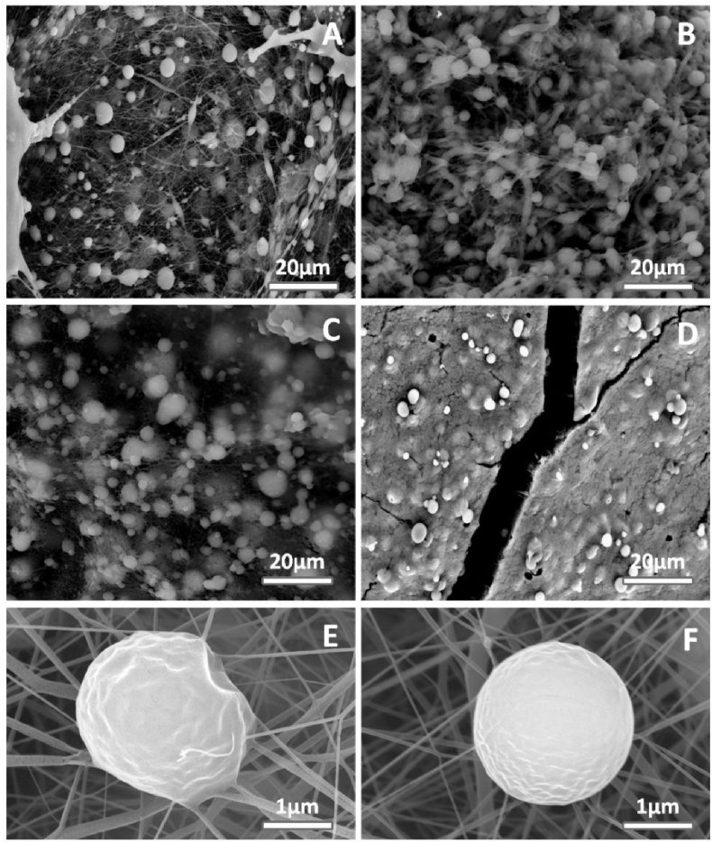 Fig. 7