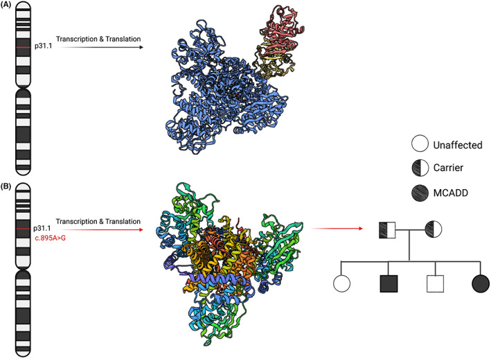 FIGURE 4