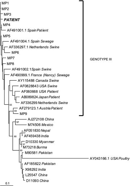 FIG. 1.