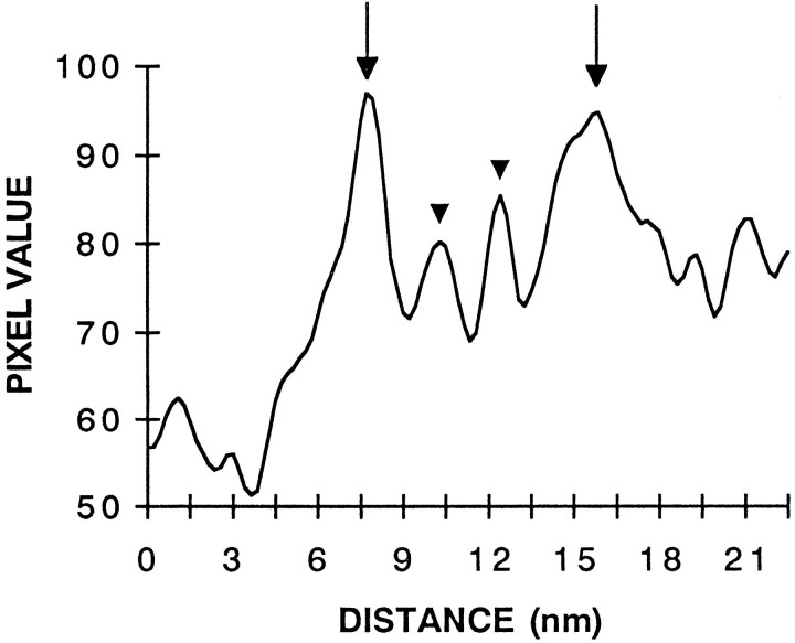 Fig. 8.