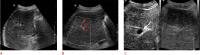 Fig. 9.