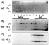 Fig. 9