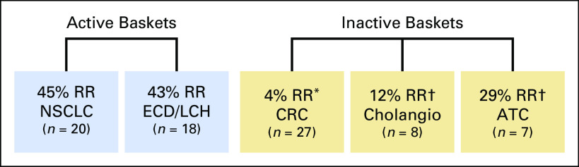 Fig 1.