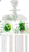 FIG 3