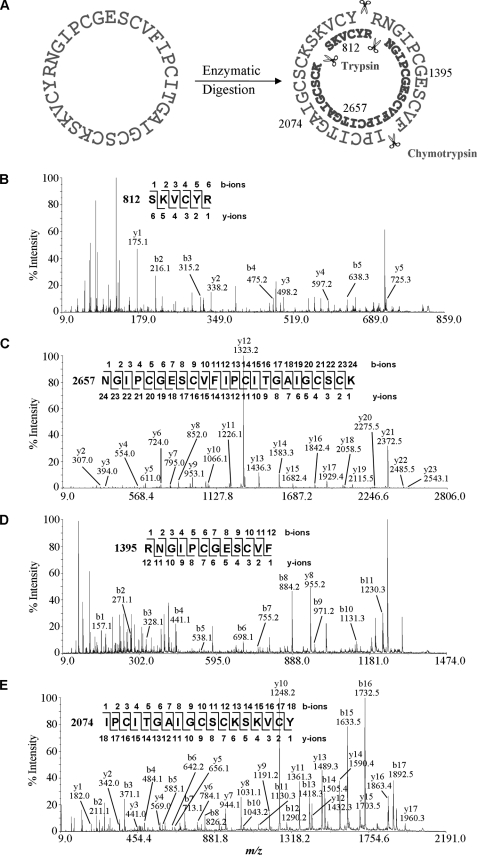 FIGURE 2.