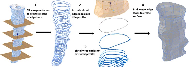 Fig. 2