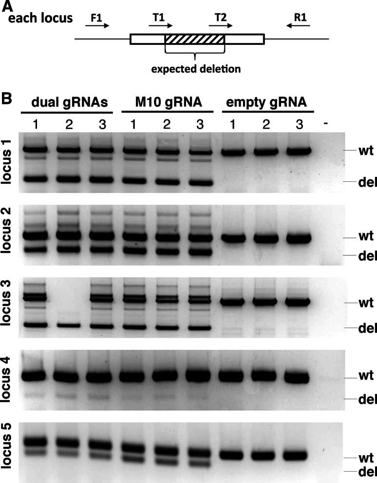 Fig. 4