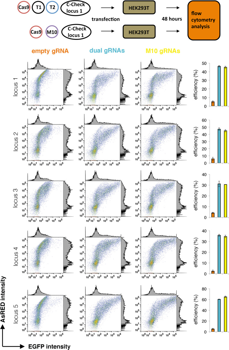 Fig. 3