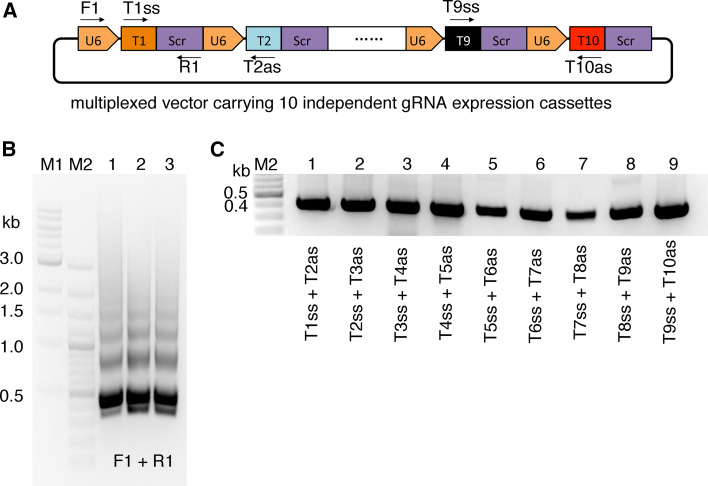 Fig. 2