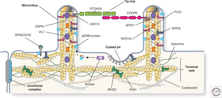 Figure 4.