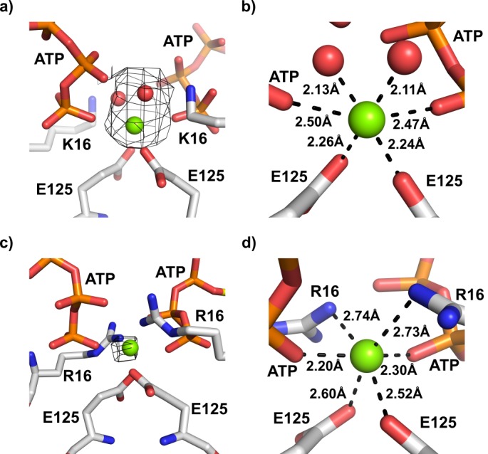 Figure 5.