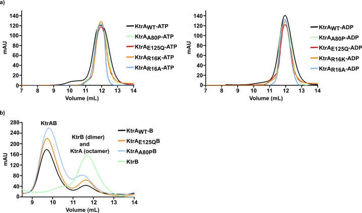 Figure 2—figure supplement 1.