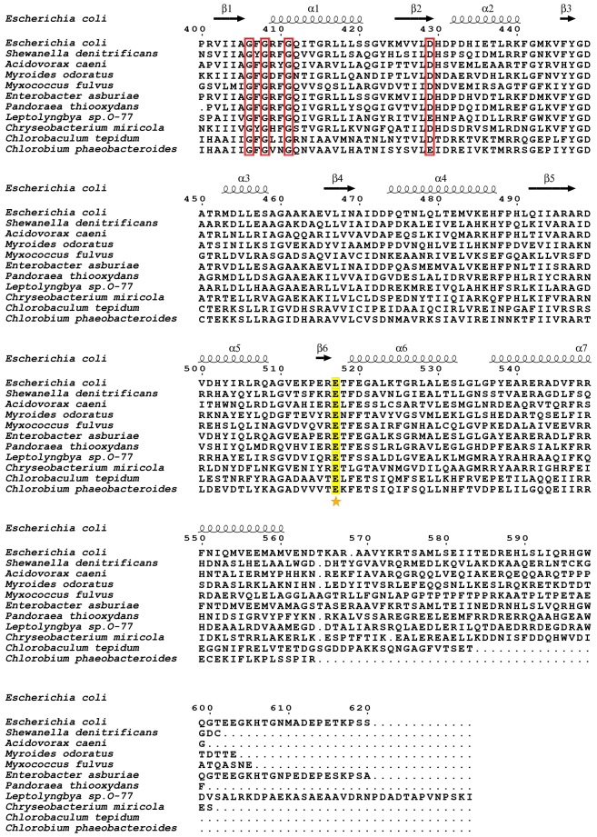 Figure 11—figure supplement 5.