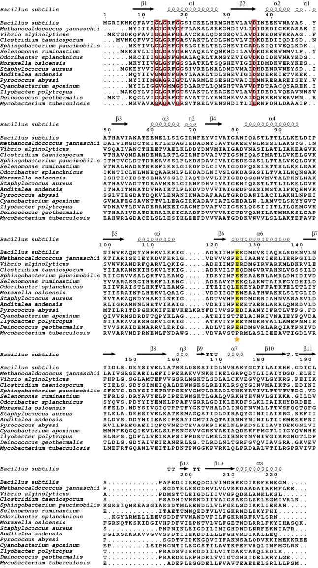 Figure 11—figure supplement 1.