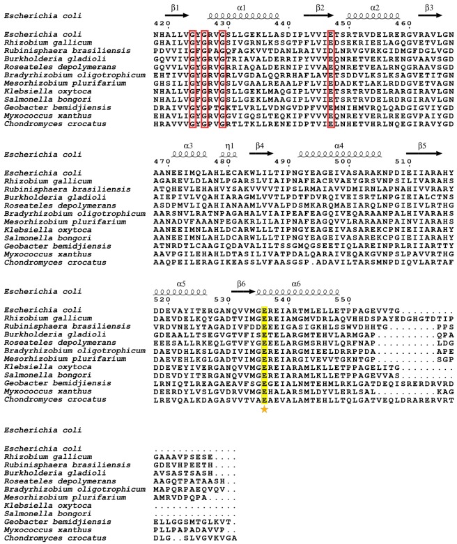 Figure 11—figure supplement 7.