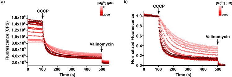 Figure 10—figure supplement 1.