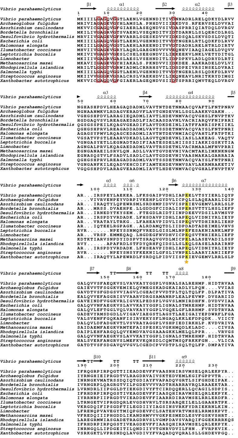 Figure 11—figure supplement 2.