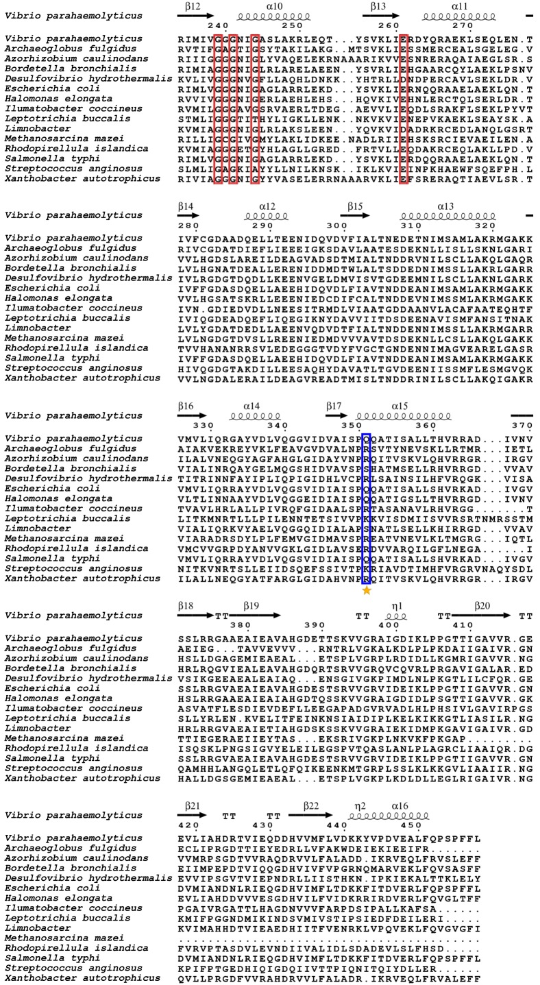 Figure 11—figure supplement 3.