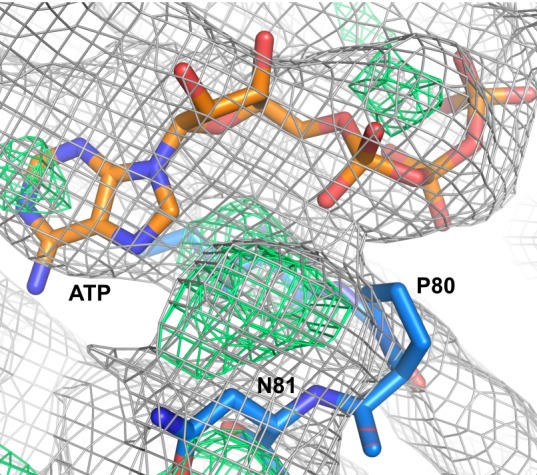 Figure 4.