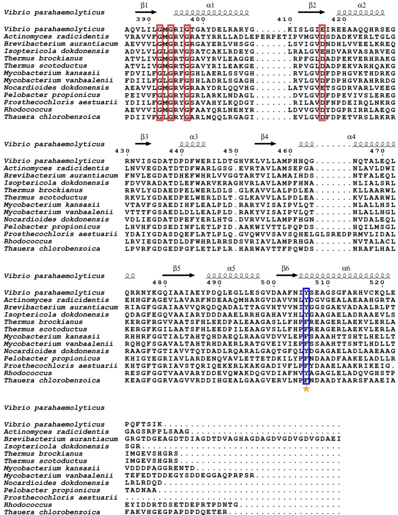 Figure 11—figure supplement 6.