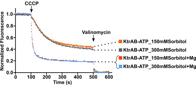 Figure 10—figure supplement 2.