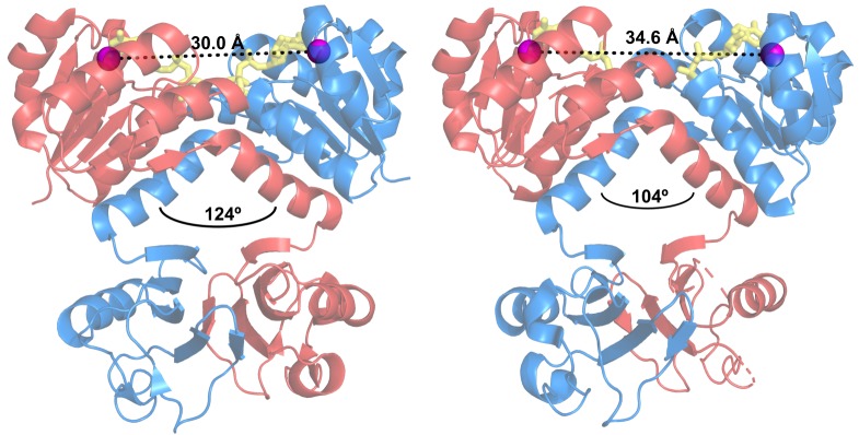 Figure 1—figure supplement 1.