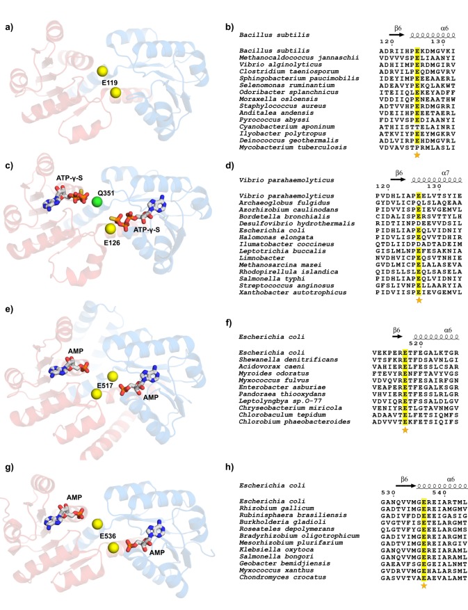 Figure 11.