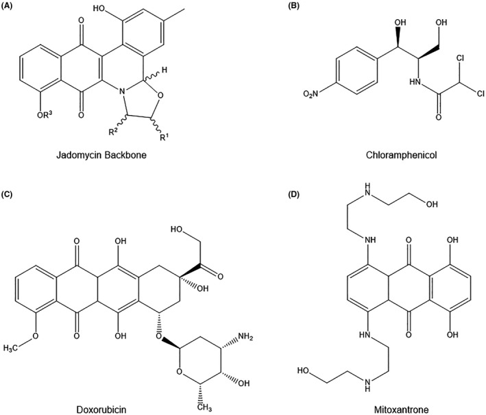 FIGURE 1