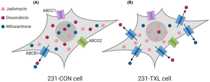 FIGURE 3