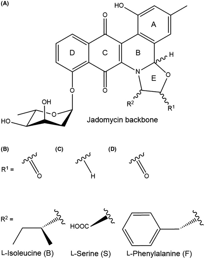 FIGURE 2