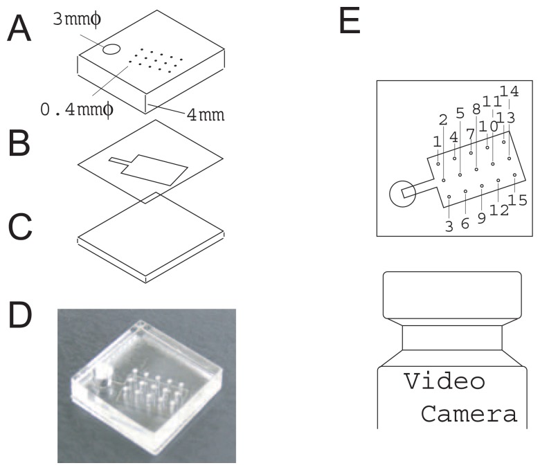 Figure 2.