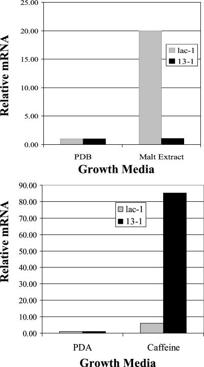 FIG. 7.