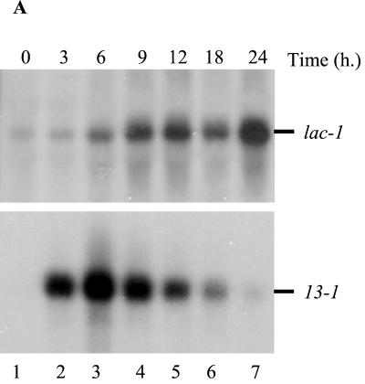 FIG. 8.