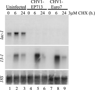 FIG. 9.