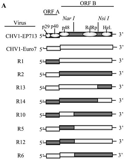 FIG. 3.