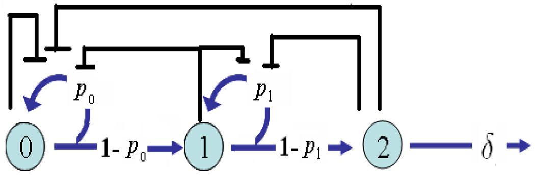 FIGURE 2