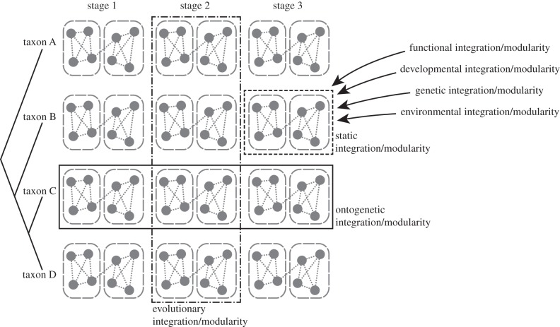 Figure 1.