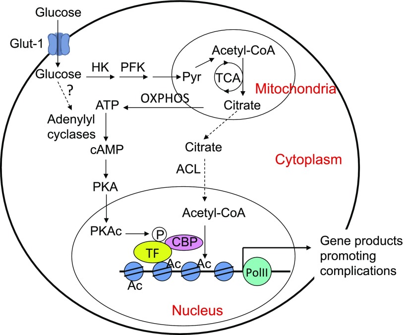 Figure 7.